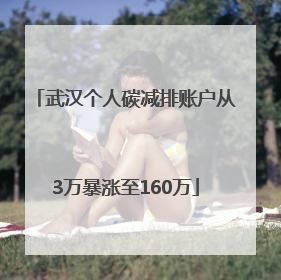 武汉个人碳减排账户从3万暴涨至160万